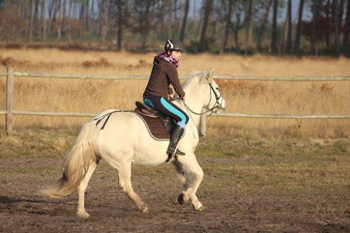 Centre équestre Ranch l eldorado Biscarrosse