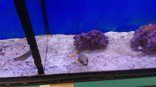 Pet Supply Store «Petco Animal Supplies», reviews and photos, 2520 E 3rd St, Bloomington, IN 47401, USA