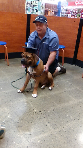 Pet Supply Store «PetSmart», reviews and photos, 279 E Fairmount Ave, Lakewood, NY 14750, USA