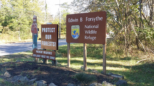 Nature Preserve «Edwin B. Forsythe National Wildlife Refuge- deCamp Wildlife Trail», reviews and photos, 365 Mantoloking Rd, Brick, NJ 08723, USA