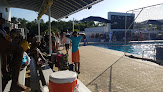 Best Water Polo Schools Miami Near You