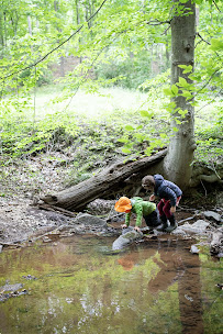 CBI Forest School - Photo 6 - Car repair in , Charlottesville