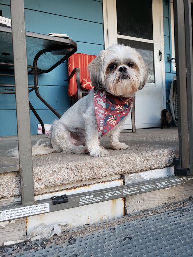 Soggy Doggies Grooming, LLC