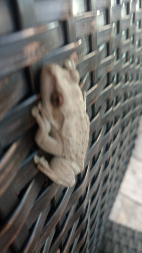 Tobacco Shop «Angry Moon Cigar Bar», reviews and photos, 2401 PGA Boulevard, Palm Beach Gardens, FL 33410, USA