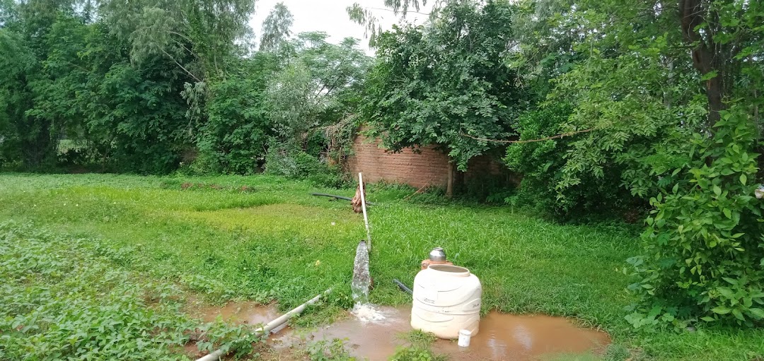 Chakna Store