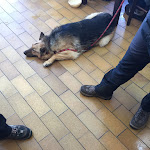 Photo n°8 de l'avis de Joshua.b fait le 04/04/2018 à 05:09 sur le  Rifugio Magnolini à Costa Volpino