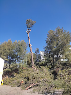 Jardi'pro paysage à Mimet