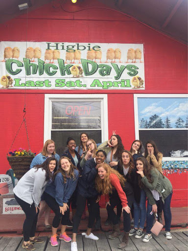 Pet Supply Store «Higbie Farm Supplies Inc», reviews and photos, 3440 Union St, North Chili, NY 14514, USA