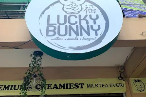 Lucky Bunny image