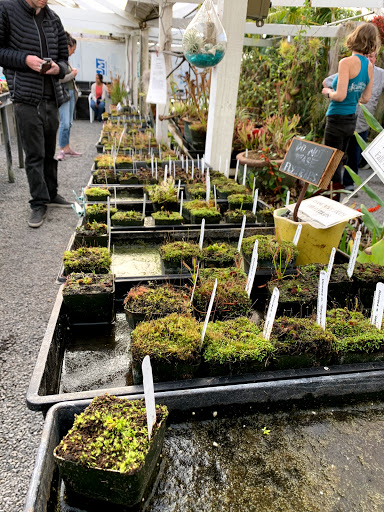 Plant Nursery «California Carnivores», reviews and photos, 2833 Old Gravenstein Hwy, Sebastopol, CA 95472, USA