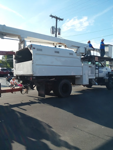 Discount Store «Dollar General», reviews and photos, 123 S West St, Tipton, IN 46072, USA