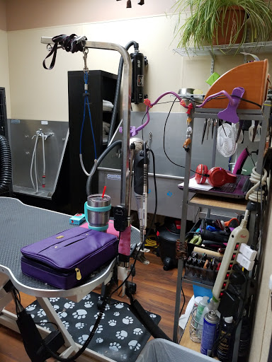 Pet Store «Pet Valu», reviews and photos, 1016 Beards Hill Rd, Aberdeen, MD 21001, USA