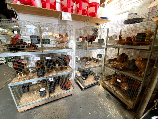 Animal Feed Store «Farmers Feed & Pet Supply», reviews and photos, 1302 E Miner Ave, Stockton, CA 95205, USA