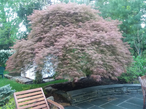 Golf Course «Fresh Meadow Country Club», reviews and photos, 255 Lakeville Rd, Lake Success, NY 11020, USA