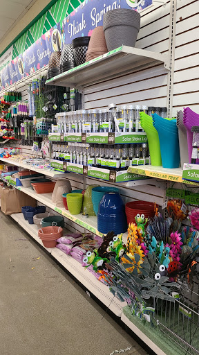 Dollar Store «Dollar Tree», reviews and photos, 7601 Evergreen Way, Everett, WA 98203, USA