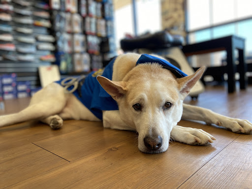 Running Store «Run On! McKinney», reviews and photos, 5180 Eldorado Pkwy, McKinney, TX 75070, USA