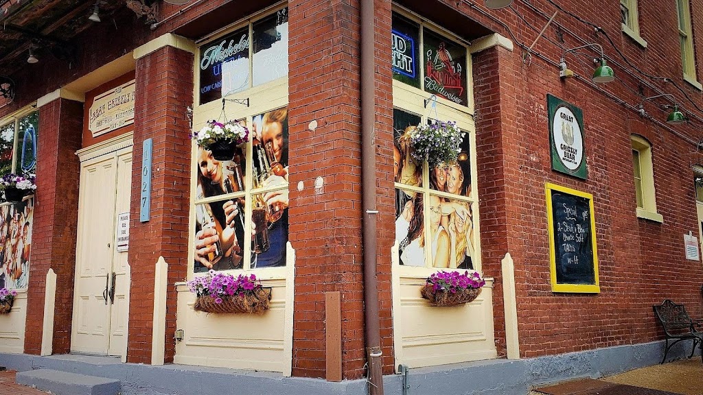 Great Grizzly Bear 63104