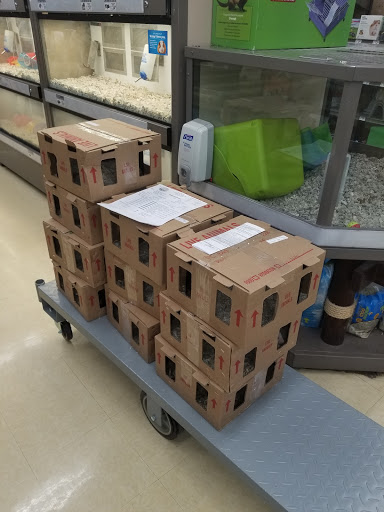 Pet Supply Store «Petco Animal Supplies», reviews and photos, 1670 Airport Blvd #700, Pensacola, FL 32504, USA