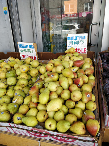 Grocery Store «Ace Market», reviews and photos, 6511 Bay Pkwy, Brooklyn, NY 11204, USA