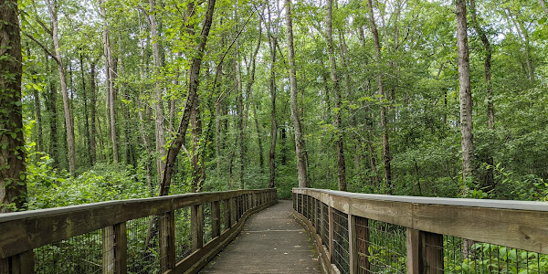 Ebenezer Swamp Ecological Preserve