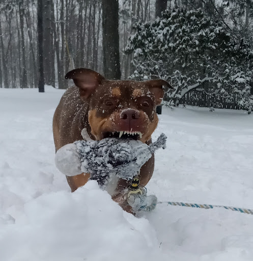 7950 State Street Rd, Batavia, NY 14020, USA