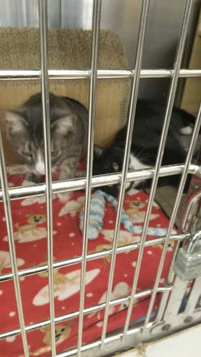 Pet Supply Store «PetSmart», reviews and photos, 17585 Southcenter Pkwy, Tukwila, WA 98188, USA