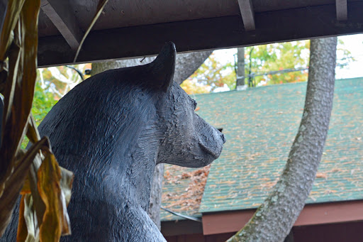 Pet Store «Abrams and Weakley General Store for Animals», reviews and photos, 3963 N 6th St, Harrisburg, PA 17110, USA