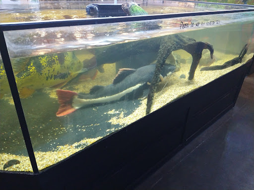 Pet Store «Miles of Exotics», reviews and photos, 8350 N Broadway, Kansas City, MO 64118, USA