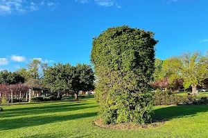 Fergusson Square image