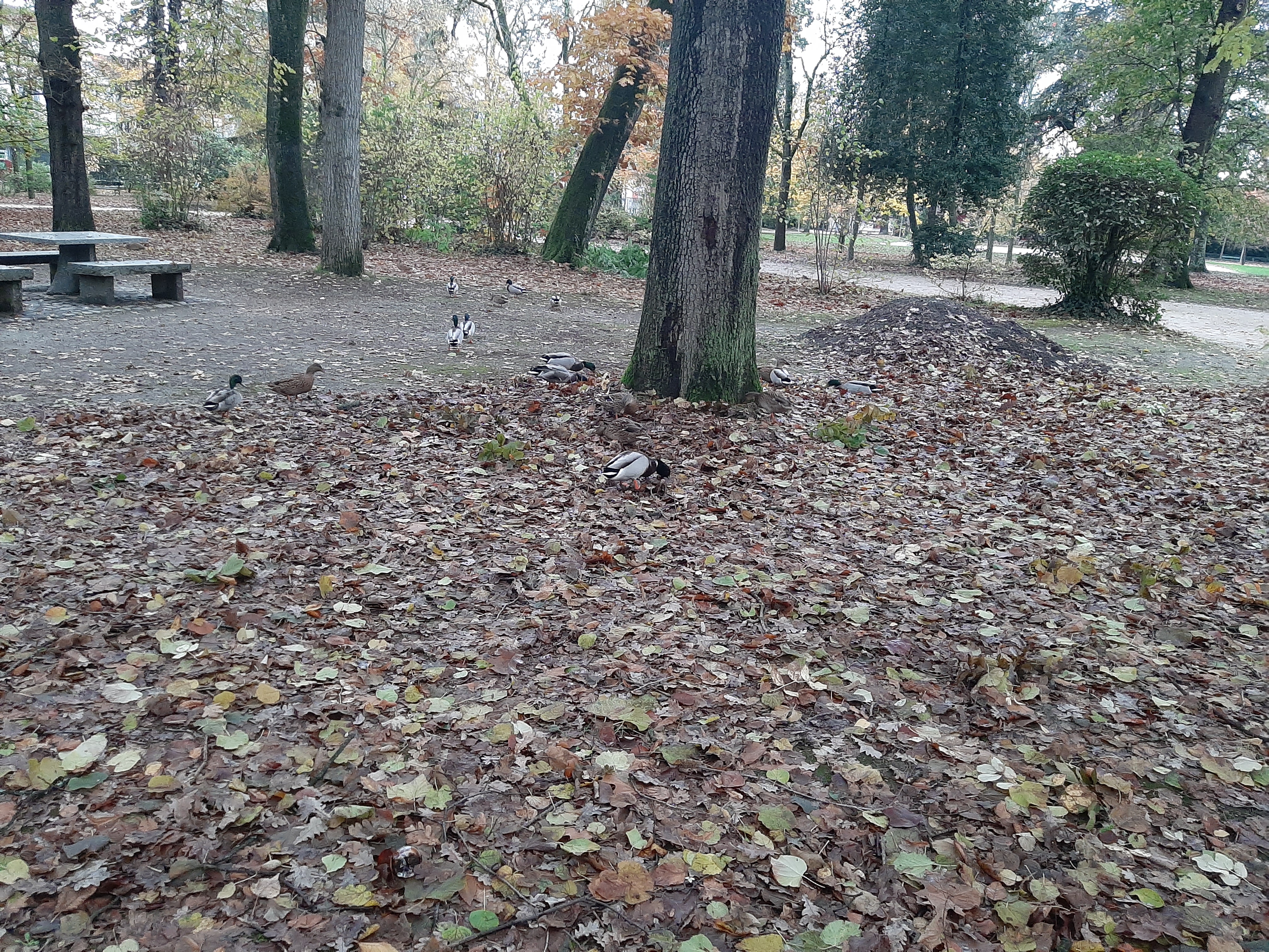 Photo n° 7 de l'avis de Nicole.r fait le 18/11/2019 à 17:46