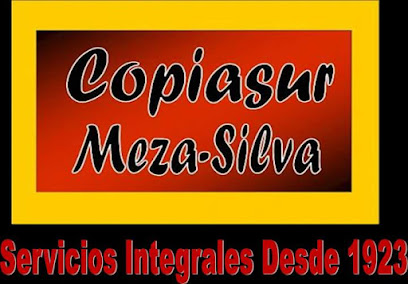 Copiasur Grupo Meza-Silva
