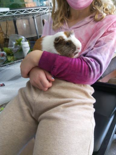 Pet Store «Red Hill Pet Center», reviews and photos, 1566 4th St, San Rafael, CA 94901, USA