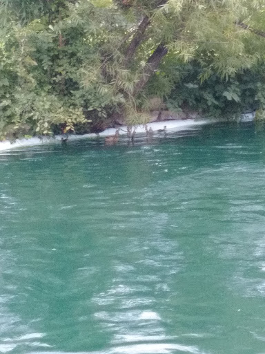 Amusement Park «All Star Adventures», reviews and photos, 1010 N Webb Rd, Wichita, KS 67206, USA