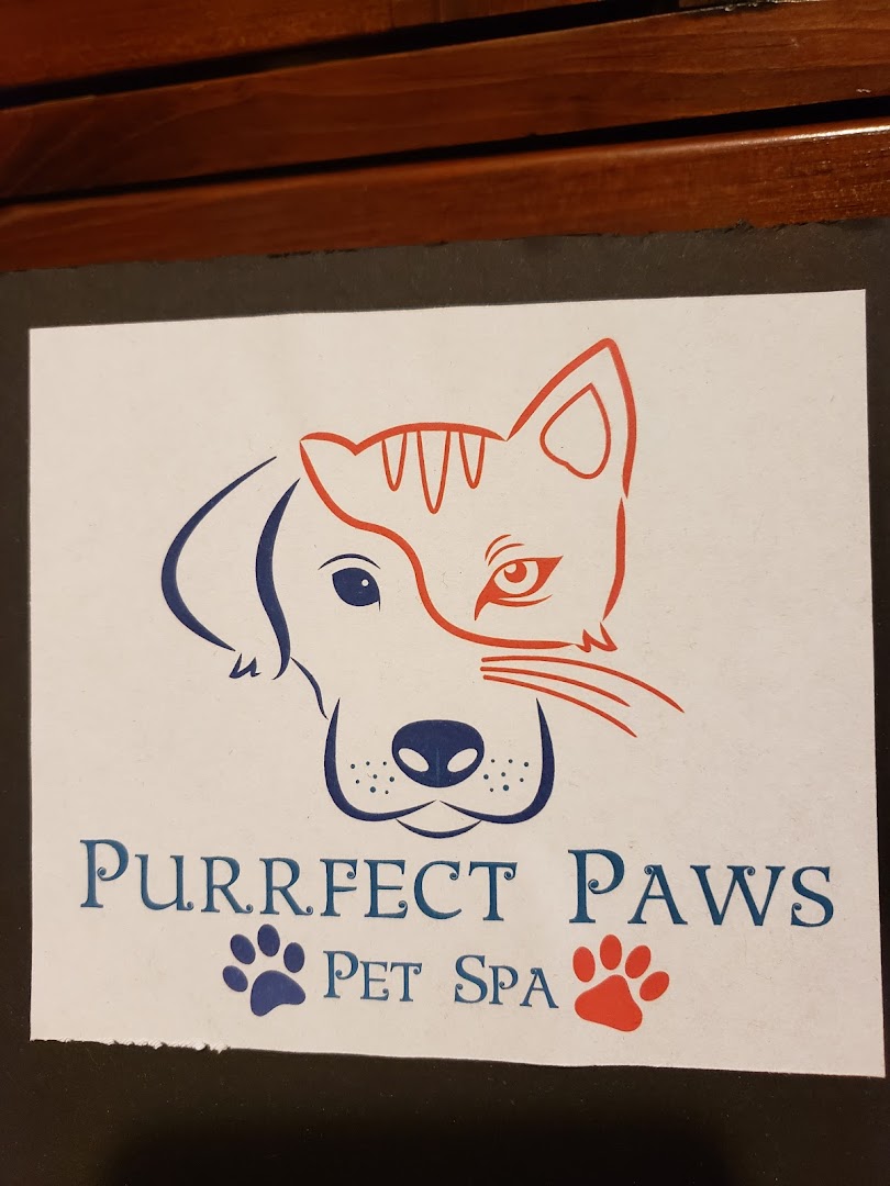 Purrfect Paws Pet Spa