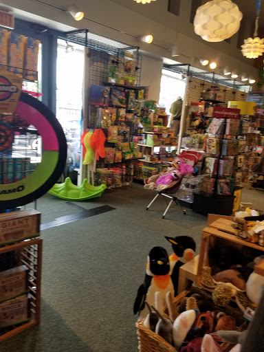 Camping Store «Whole Earth Provision Co.», reviews and photos, 2934 S Shepherd Dr, Houston, TX 77098, USA