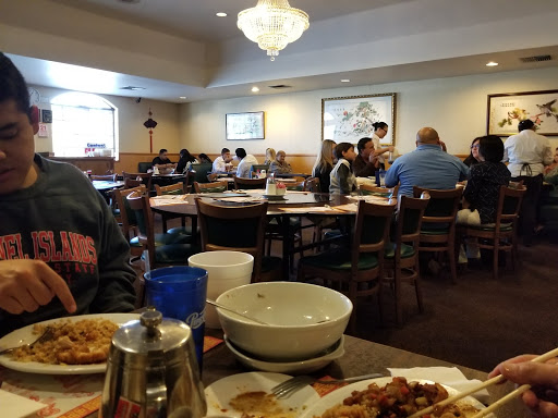 Canton | Chinese Restaurant