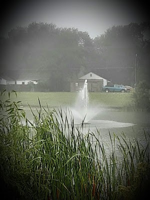 Heritage Meadows - photo 10
