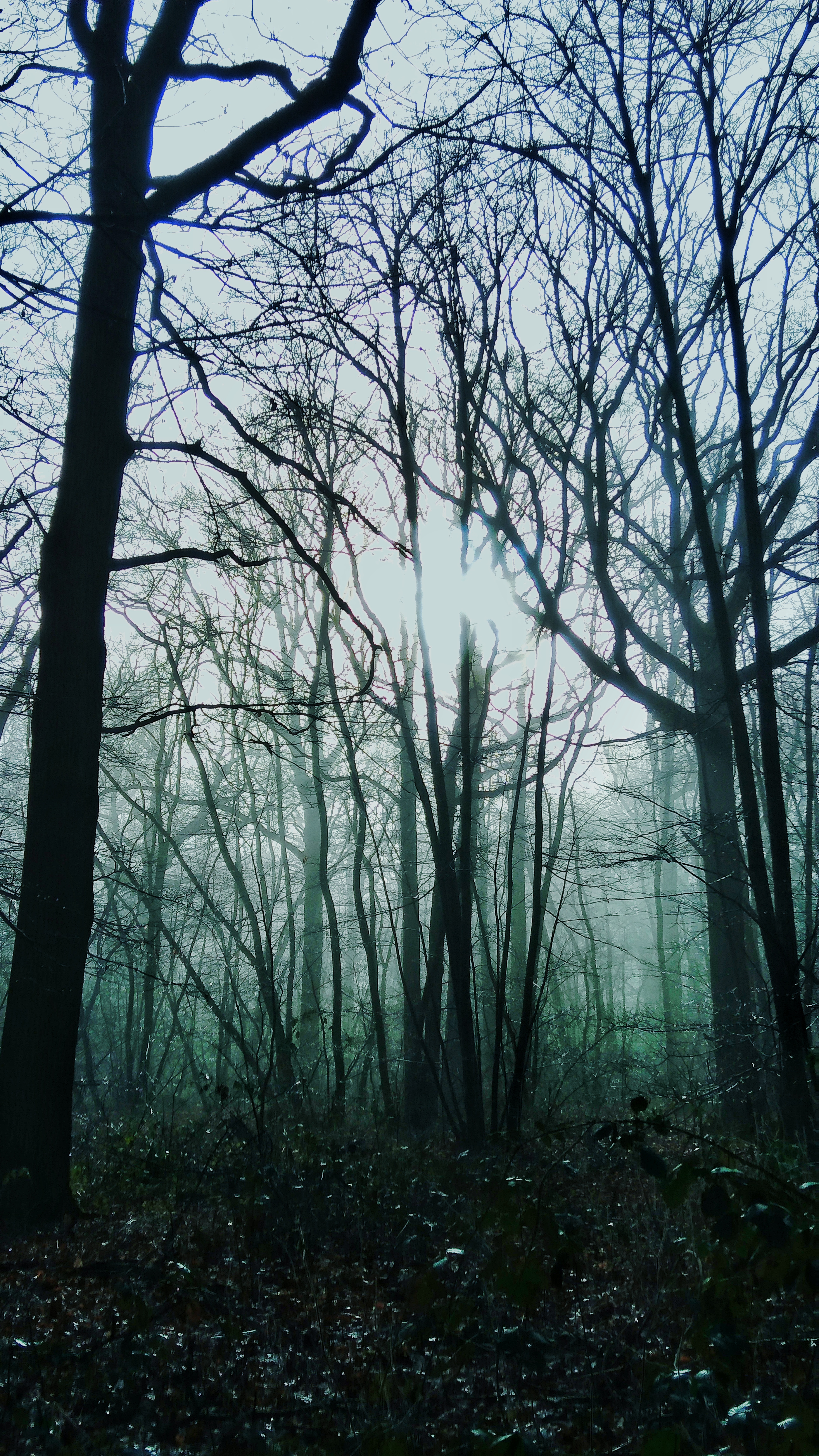 Photo n° 5 de l'avis de Ben.a fait le 19/12/2017 à 18:40