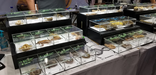 Convention Center «Ocean Center», reviews and photos, 101 N Atlantic Ave, Daytona Beach, FL 32118, USA