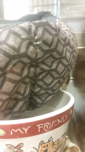 Pet Supply Store «PetSmart», reviews and photos, 7 U.S. 9, Manalapan Township, NJ 07726, USA