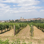 Photo n°4 de l'avis de Monica.e fait le 16/07/2023 à 13:12 sur le  Trattoria da Nello e lina à Castelletto Molina