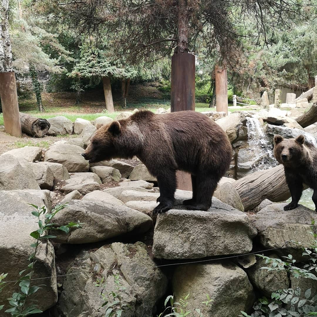 Photo n° 15 de l'avis de Xxx.x fait le 14/08/2020 à 21:01
