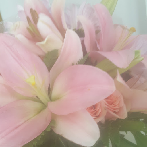 Florist «Carousel Flowers by Shamrock Garden Florist», reviews and photos, 527 S York St, Elmhurst, IL 60126, USA