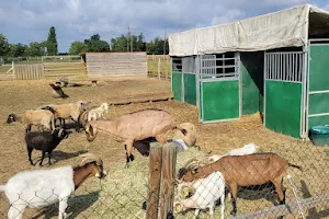 ferme pédagogique océane image