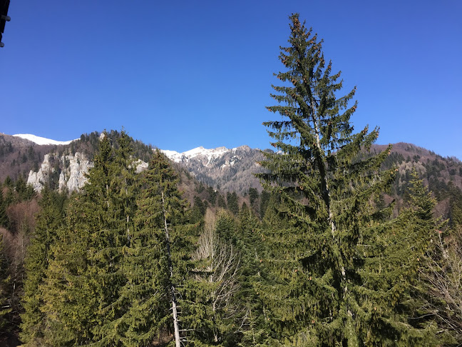 Strada Cota 1400 7, Sinaia 106100, România