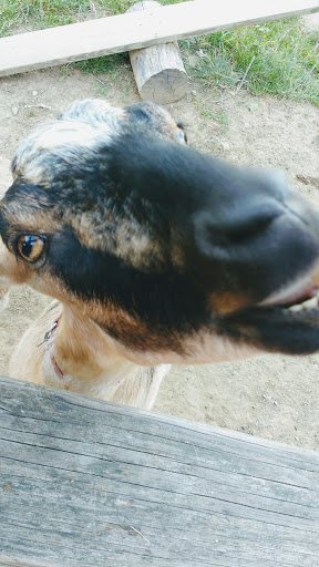 Vineyard «The Winery at Wolf Creek», reviews and photos, 2637 S Cleveland Massillon Rd, Barberton, OH 44203, USA