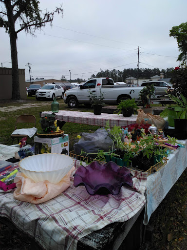 Flea Market «Lake City Flea Market», reviews and photos, 238 FL-247, Lake City, FL 32055, USA