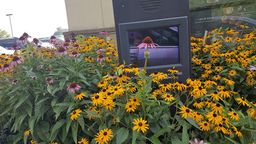 Coffee Shop «Starbucks», reviews and photos, 7203 KY-329, Crestwood, KY 40014, USA