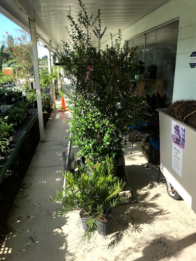 Plant Nursery «Wilcox Nursery», reviews and photos, 12501 Indian Rocks Rd, Largo, FL 33774, USA