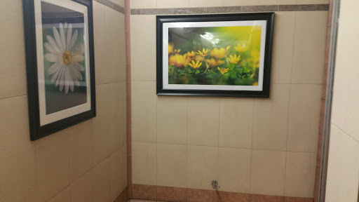 Department Store «Walmart Supercenter», reviews and photos, 231 Bluebell Dr SW, New Philadelphia, OH 44663, USA